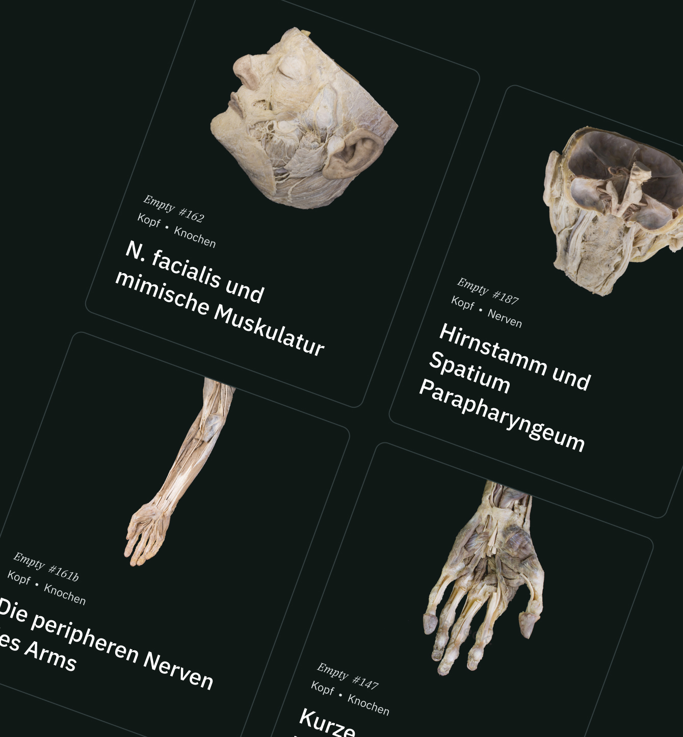 präpApp Early Access Anatomie am echten Präparat